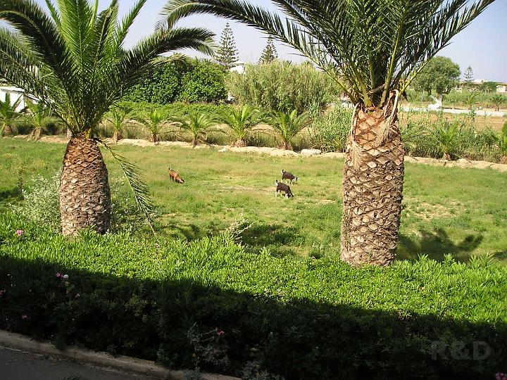 Kreta 23 juni 2007 (13).JPG